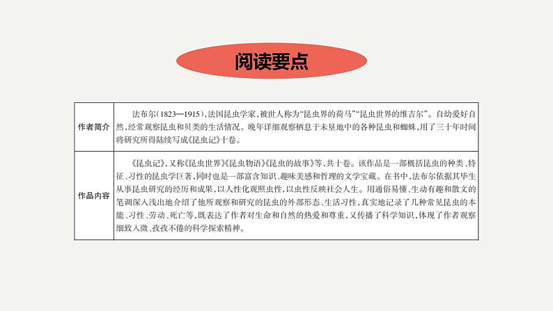 2023中考名著阅读昆虫记课件PPT04