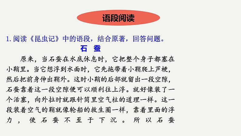 2023中考名著阅读昆虫记课件PPT06