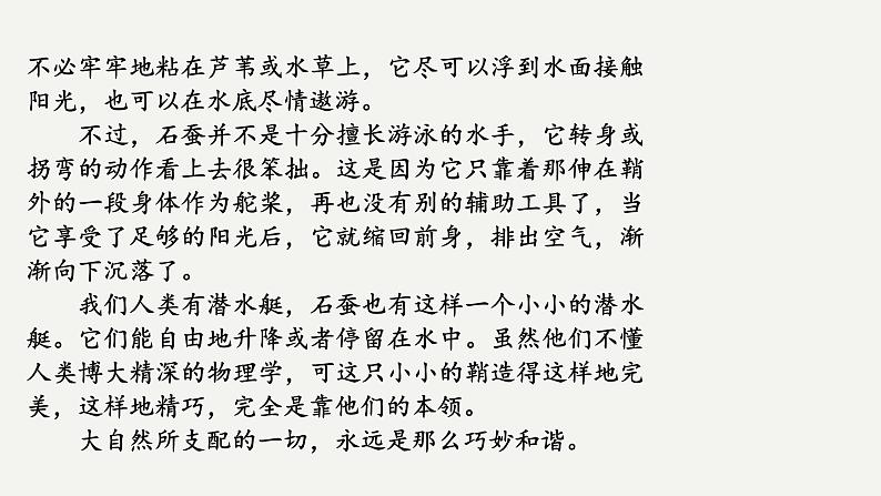 2023中考名著阅读昆虫记课件PPT07