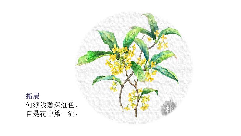 李清照课件 PPT第5页