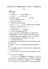 广东省湛江市雷州第三中学2020—2021学年八年级上学期期末考试语文试题