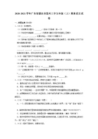 广东省湛江市雷州市第三中学2020-2021学年九年级上学期期末考试语文试卷