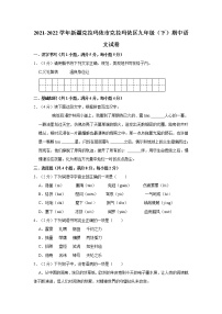 2021-2022学年新疆克拉玛依市克拉玛依区九年级（下）期中语文试卷