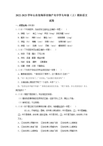 山东省菏泽市开发区佃户屯办事处中学2022-2023学年七年级上学期期末考试语文试卷(含答案)