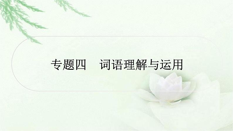中考语文复习识记（积累）专题二词语理解与运用教学课件第1页