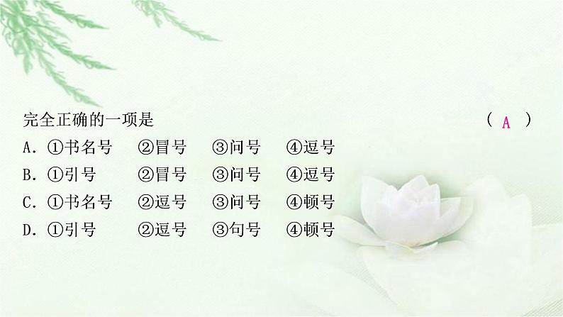 中考语文复习识记（积累）专题三标点、语法考点1标点符号教学课件04