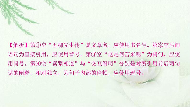 中考语文复习识记（积累）专题三标点、语法考点1标点符号教学课件05