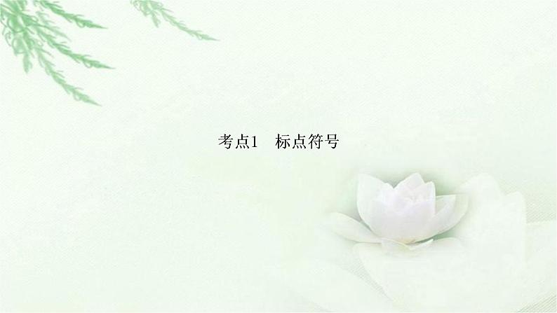 中考语文复习识记（积累）专题三标点、语法考点1标点符号教学课件06