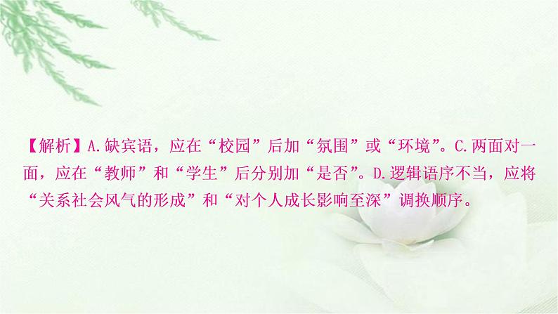 中考语文复习识记（积累）专题四病句辨析与修改教学课件第4页