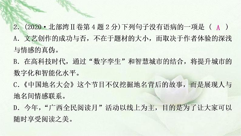 中考语文复习识记（积累）专题四病句辨析与修改教学课件第5页