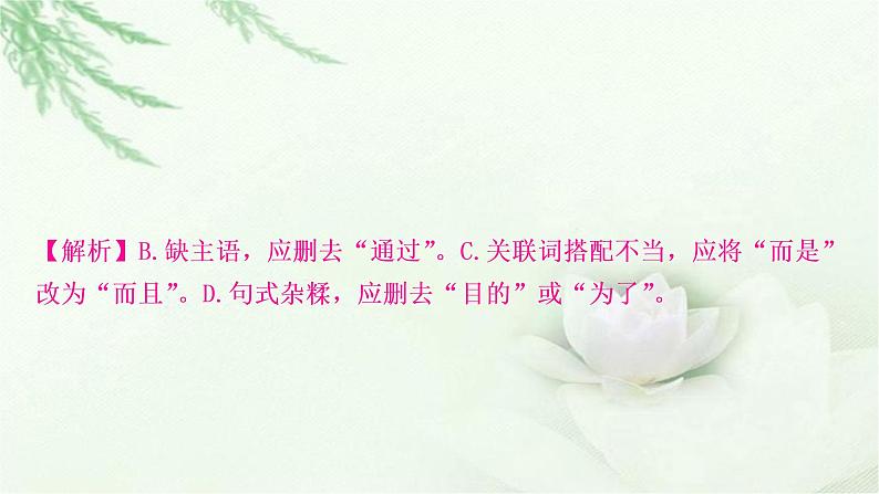 中考语文复习识记（积累）专题四病句辨析与修改教学课件第6页