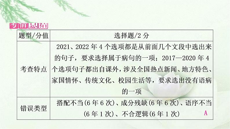 中考语文复习识记（积累）专题四病句辨析与修改教学课件第7页