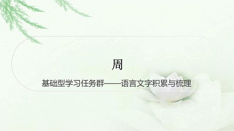 中考语文复习识记（积累）基础型学习任务群——语言文字积累与梳理教学课件第1页