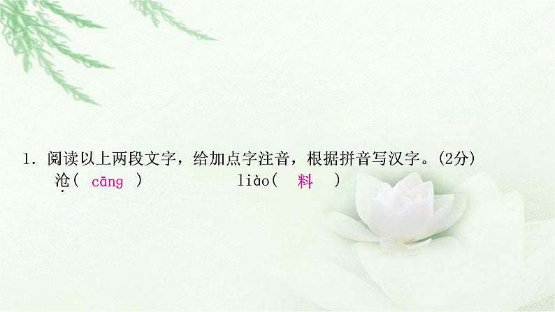 中考语文复习识记（积累）基础型学习任务群——语言文字积累与梳理教学课件第6页