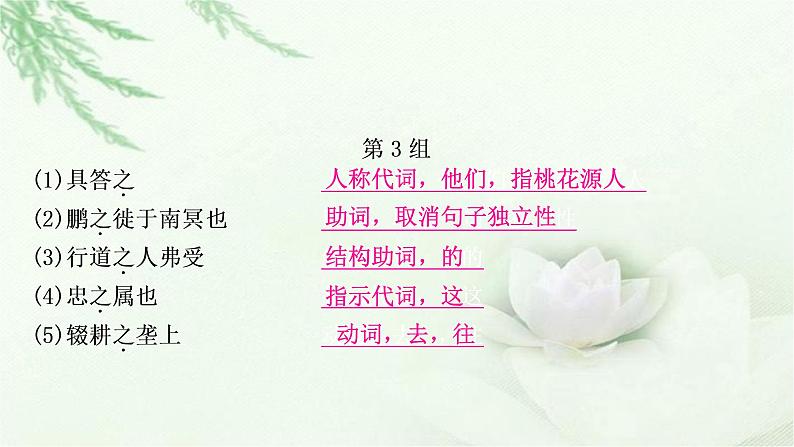 中考语文复习专题文言文阅读14个文言虚词教学课件第7页