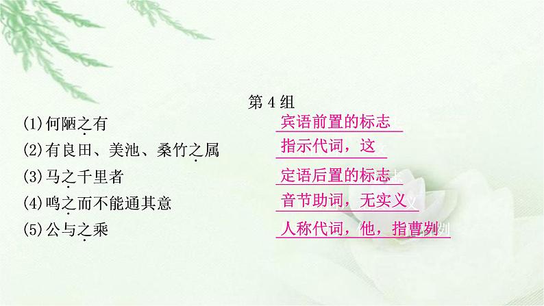 中考语文复习专题文言文阅读14个文言虚词教学课件第8页