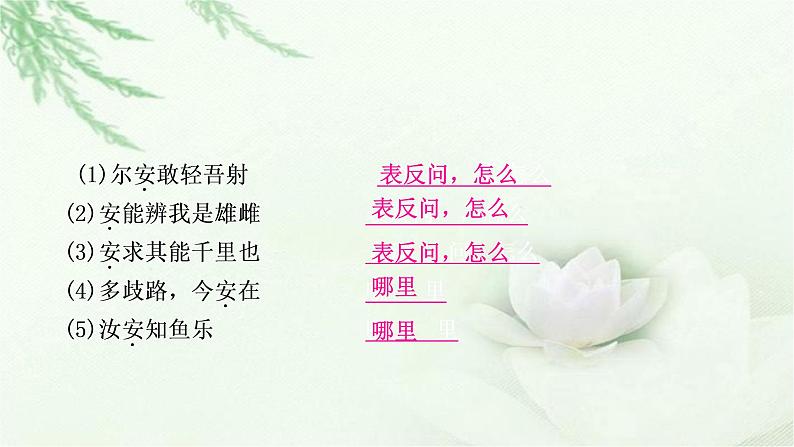 中考语文复习专题文言文阅读134个文言实词教学课件第4页