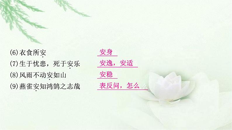 中考语文复习专题文言文阅读134个文言实词教学课件第5页