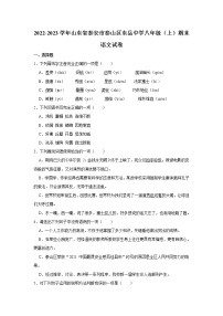 山东省泰安市泰山区东岳中学2022-2023学年八年级上学期期末考试语文试卷（含答案）