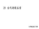 部编版七年级语文下册--21 古代诗歌五首（精品课件）
