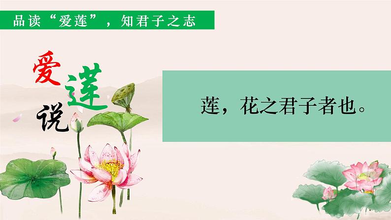 第17课《爱莲说》课件08
