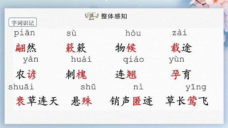 05++大自然的语言（第一课时）（课件）08