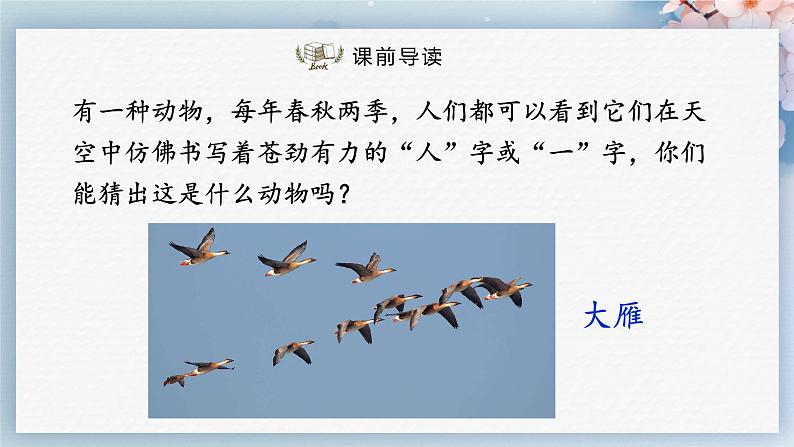 07++大雁归来（课件）02