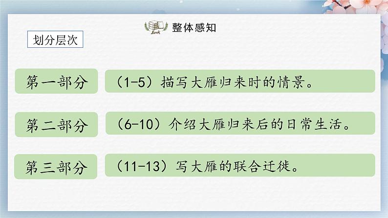 07++大雁归来（课件）07