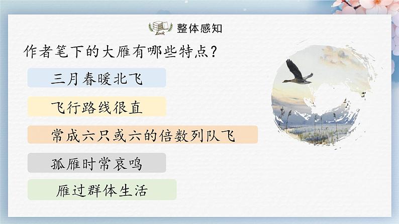 07++大雁归来（课件）08