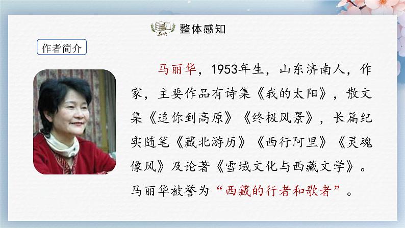 18++在长江源头各拉丹冬（第一课时）（课件）04