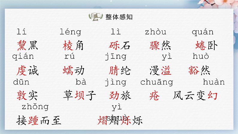 18++在长江源头各拉丹冬（第一课时）（课件）06