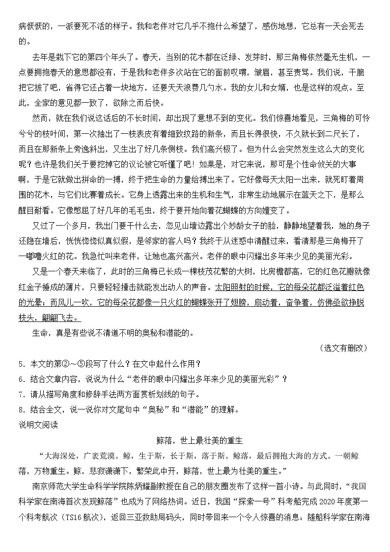 浙江省嘉兴市2023年八年级下学期语文期中阶段试卷【含答案】第2页