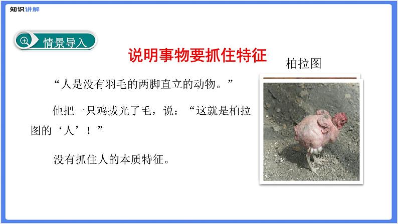 初中作文  作文技巧：说明事物要抓住特征课件04