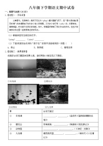 浙江省宁波市2023年八年级下学期语文期中试卷【含答案】
