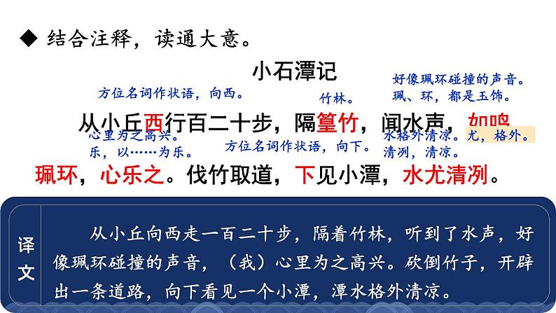 部编版八年级语文下册--10 小石潭记（精品课件）08