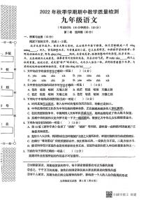 广西壮族自治区贺州市昭平县2022-2023学年九年级上学期期中考试语文试题无答案