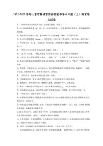 山东省聊城市阳谷县实验中学2022-2023学年八年级上学期线上期末考试语文试题