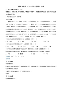 2022年湖南省岳阳市中考语文真题（教师版）