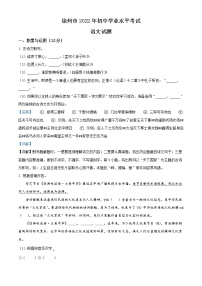 2022年江苏省徐州市中考语文真题（教师版）