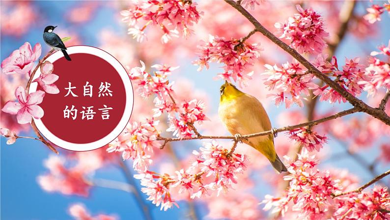 第5课《大自然的语言》 课件第1页