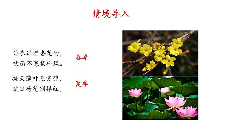 第5课《大自然的语言》 课件第2页