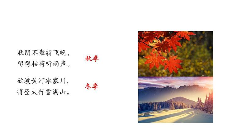 第5课《大自然的语言》 课件第3页