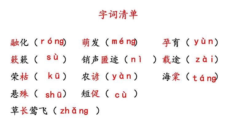 第5课《大自然的语言》 课件第7页