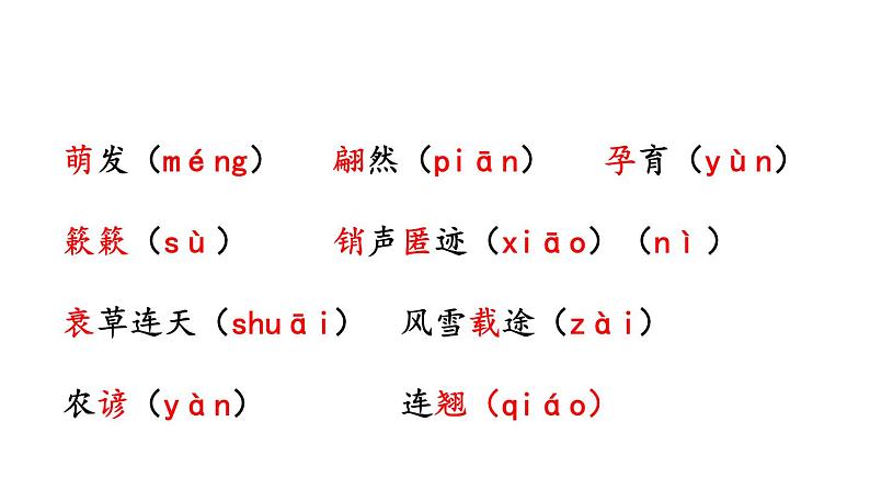 第5课《大自然的语言》 课件第8页