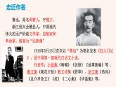 1 社戏2023上课版课件PPT
