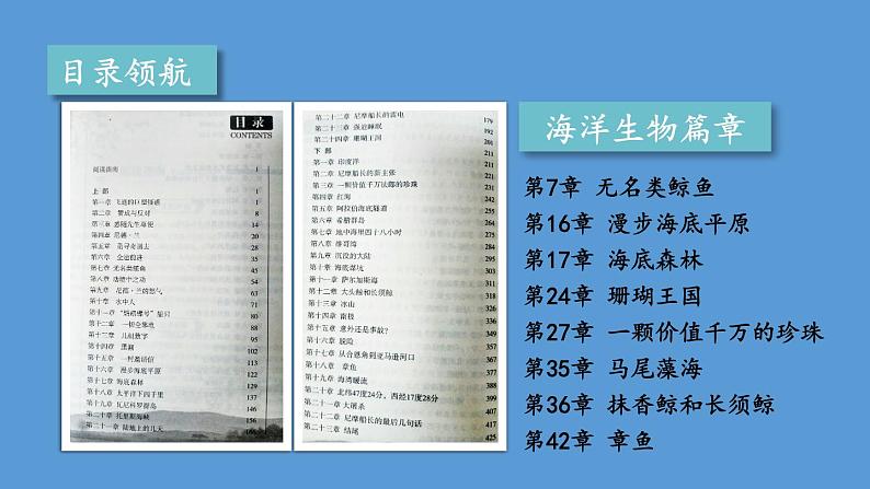 部编版七年级语文下册--名著导读 《海底两万里》 快速阅读（优质课件）第8页