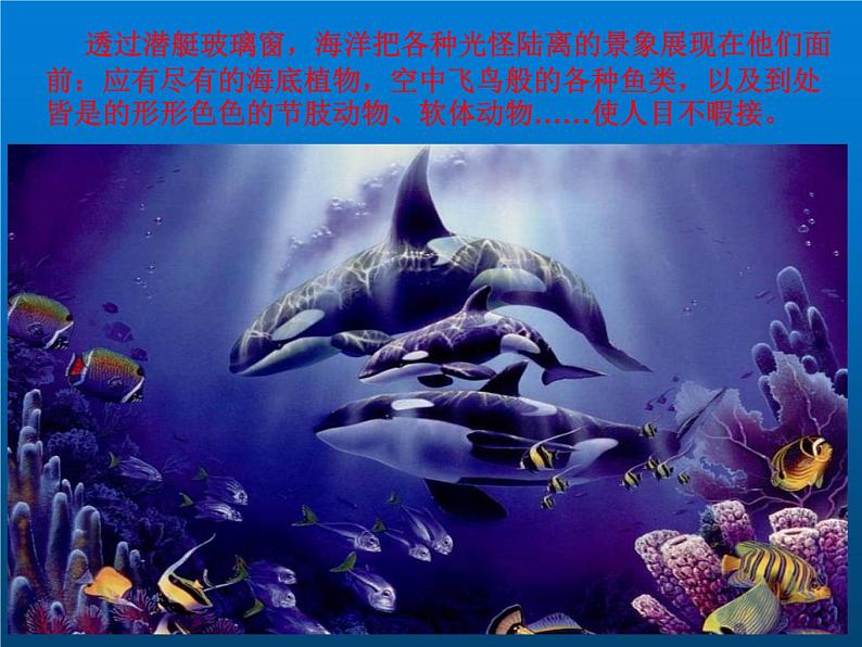 部编版七年级语文下册--名著导读-海底两万里：快速阅读（课件）第3页