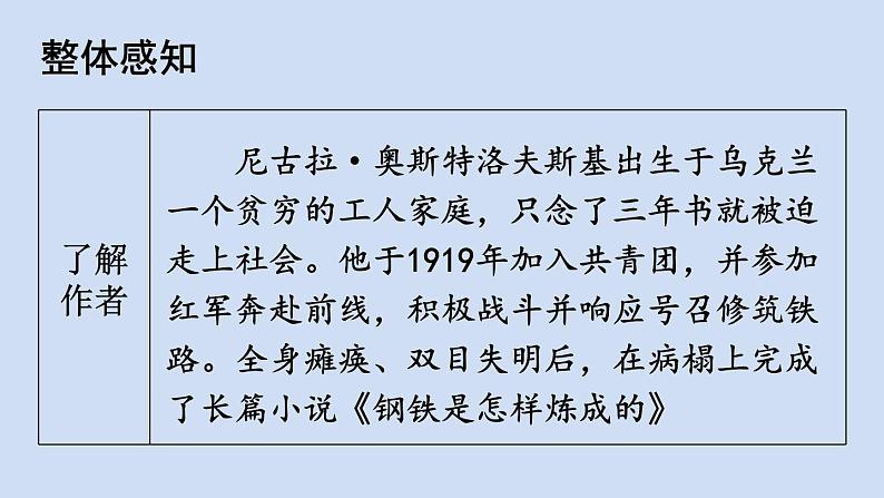 部编版八年级语文下册--名著导读 《钢铁是怎样炼成的》 摘抄和做笔记（优质课件）03
