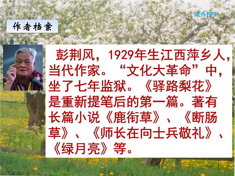 部编版七年级语文下册--名著导读《骆驼祥子》：圈点与批注（课件1）第2页