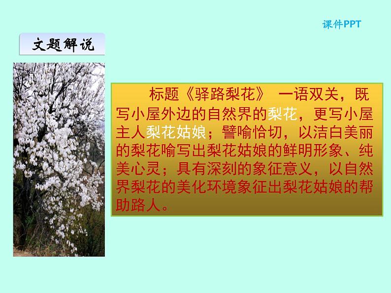 部编版七年级语文下册--名著导读《骆驼祥子》：圈点与批注（课件1）第3页
